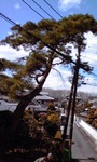 110327_1220~02.jpg