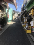 F954991C-2189-435D-A6BF-801337C08988.jpg