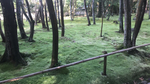 FCB12504-450D-47CB-BD15-837EEB016FD5.jpg